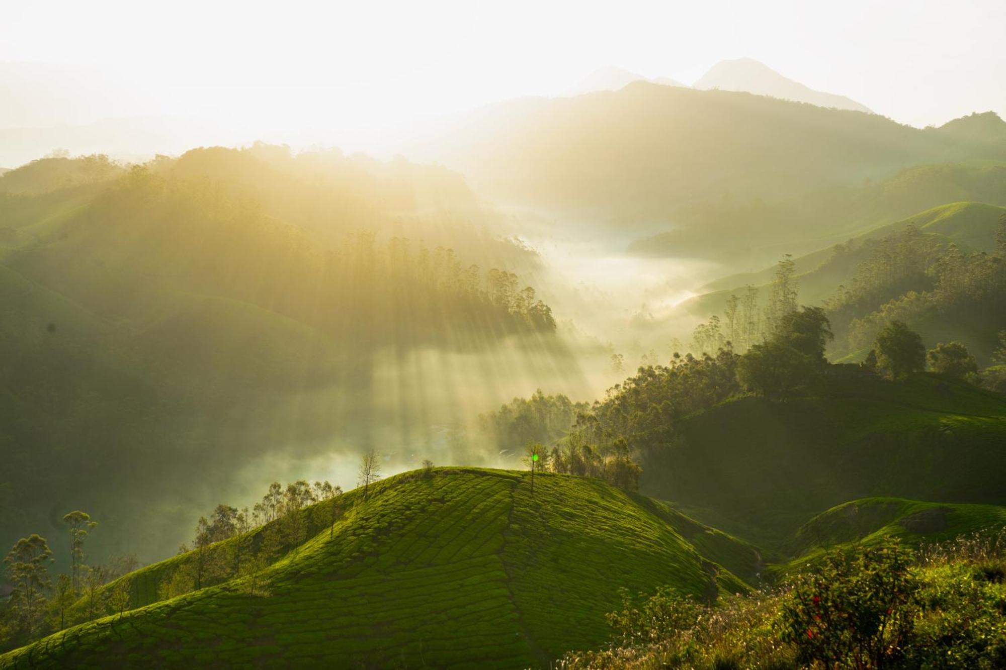 Camelot Resort Munnar Eksteriør billede