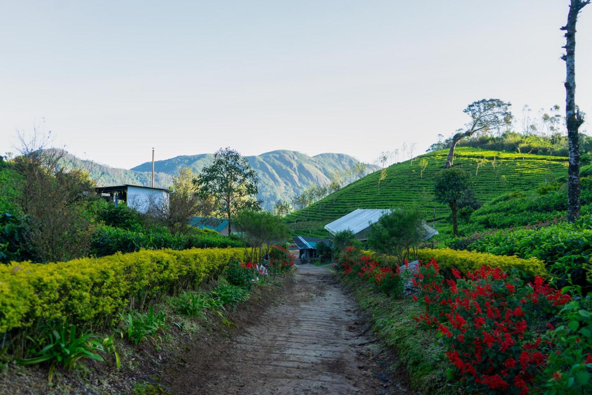 Camelot Resort Munnar Eksteriør billede